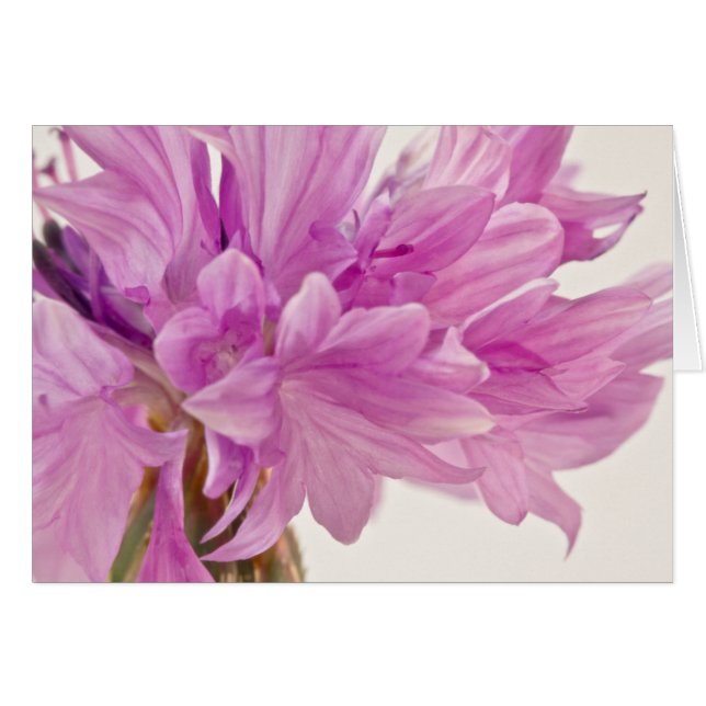 Tastenkarte (Vorderseite (Horizontal))