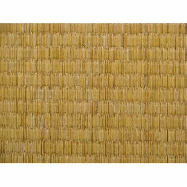 Tatami Mat 畳 Freistehende Fotoskulptur (Vorne)