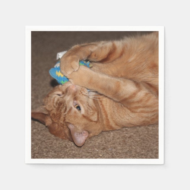 Tater Serviette (Vorderseite)