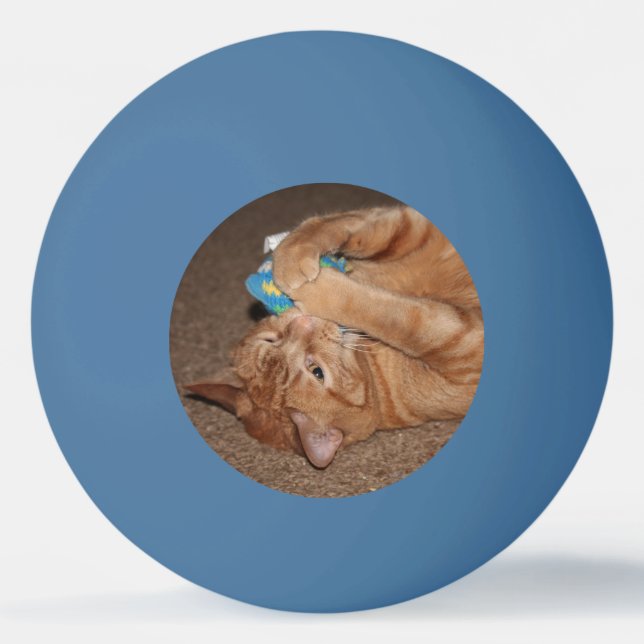 Tater Tischtennisball (Vorderseite)