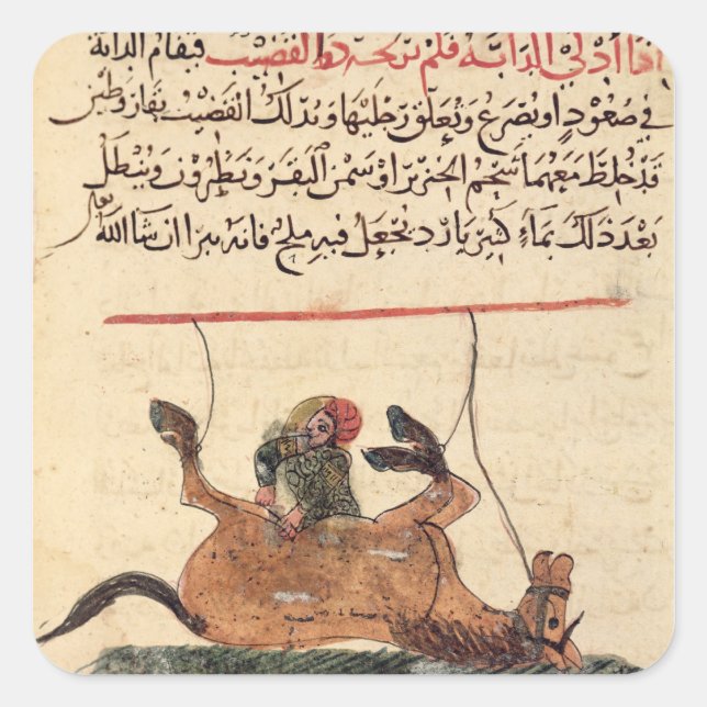 Tätigkeit auf einem Pferd, Darstellung Quadratischer Aufkleber (Vorderseite)