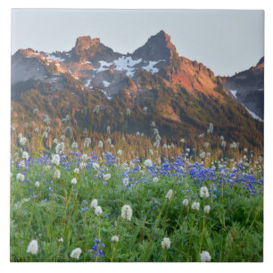 Tatoosh Range and Wildflowers   Mt. Rainier Fliese