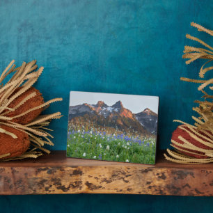 Tatoosh Range und Wildblumen Mt. Rainier Fotoplatte