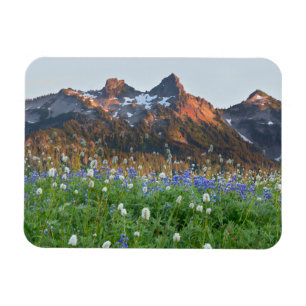 Tatoosh Range und Wildblumen   Mt. Rainier Magnet