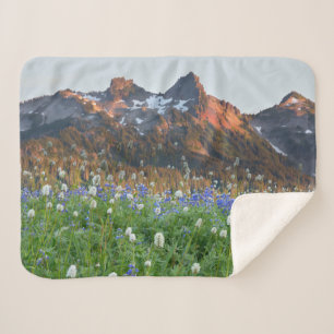 Tatoosh Range und Wildblumen Mt. Rainier Sherpadecke