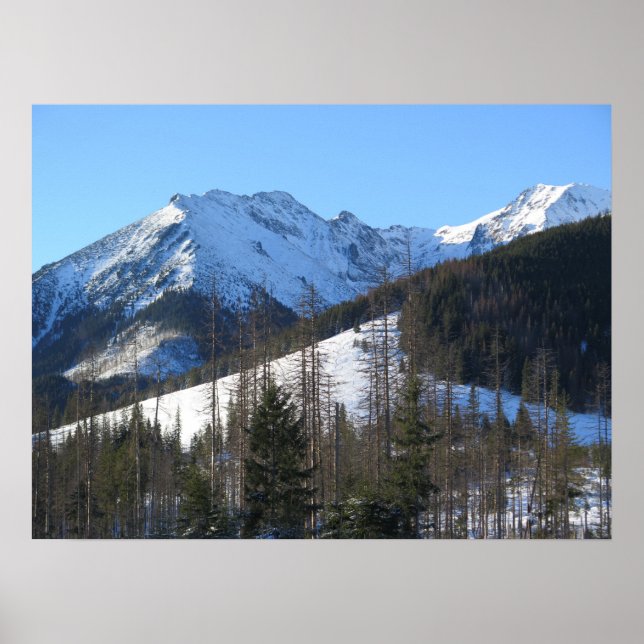Tatra im Winter Poster (Vorne)
