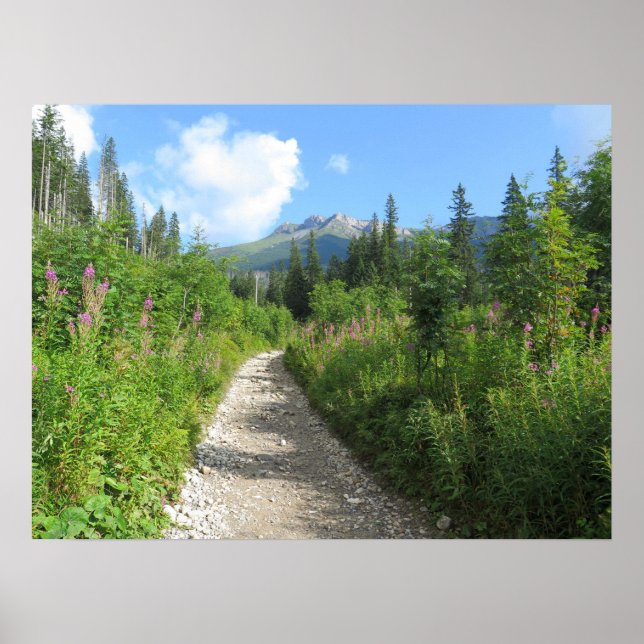 Tatra, Slowakei Poster (Vorne)