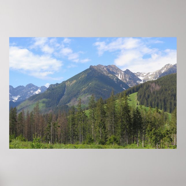 Tatras Poster (Vorne)