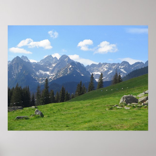 Tatras Rusinowa-Wiese Poster (Vorne)