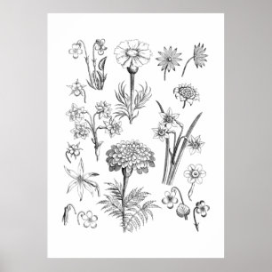Tattoo Blume und Pflanze Illustration Poster