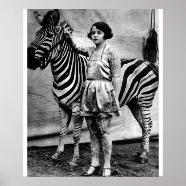 Tattooot Circus Lady und Zebra Poster (Vorne)