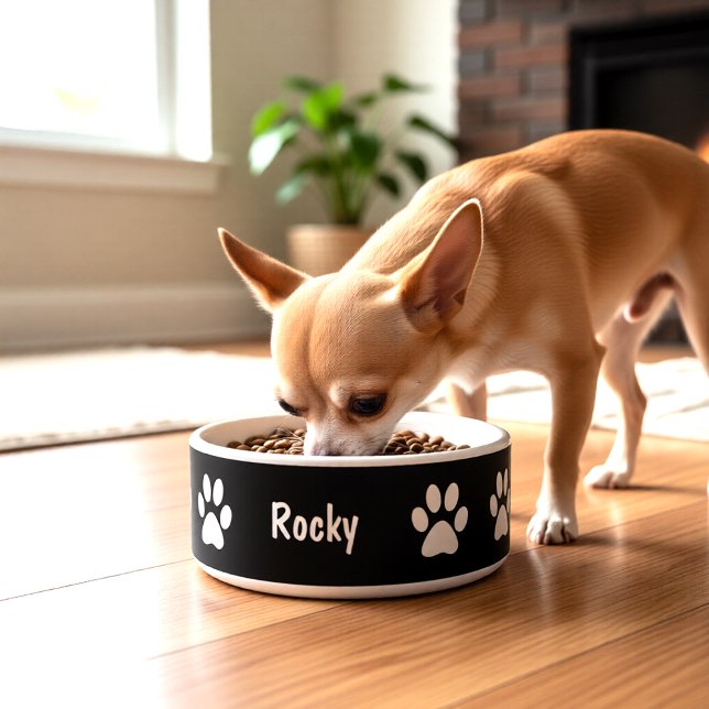 Tatze druckt kleine Hundeschüssel Napf (Von Creator hochgeladen)