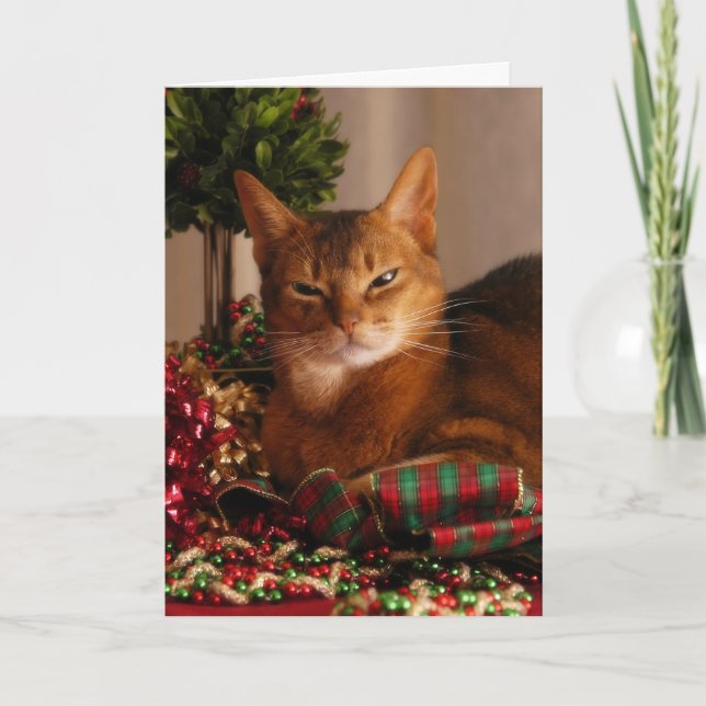 Tatzen für die Feiertage Feiertagskarte (Vorderseite)