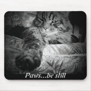 Tatzen… sind noch. Lustige Katze Mousepad
