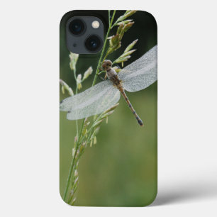 Tau bedeckte Darner Libelle iPhone 13 Hülle