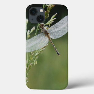 Tau bedeckte Darner Libelle iPhone 13 Hülle