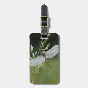 Tau bedeckte Darner Libelle Gepäckanhänger