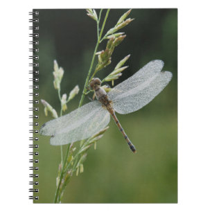 Tau bedeckte Darner Libelle Notizblock