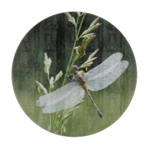 Tau bedeckte Darner Libelle Schneidebrett