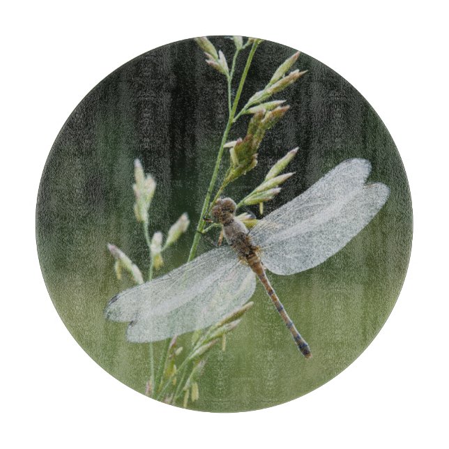 Tau bedeckte Darner Libelle Schneidebrett (Vorderseite)