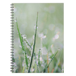 Tau-Bedeckte Gras-Raum-Zeitschrift Notizblock
