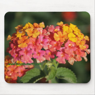 Tau bedeckte Lantana-Blumen-Mausunterlage Mousepad