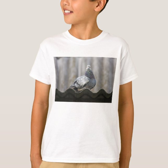 Taube auf dem Dach. T-Shirt (Vorderseite)