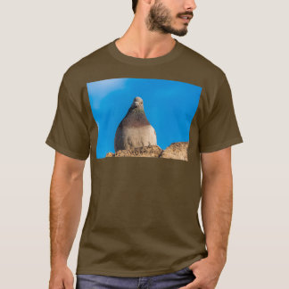 Taube auf einer Steinmauer T-Shirt