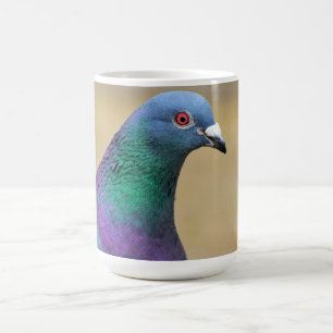 Taube Bunte Feder Vogel Fotografie Portrait Kaffeetasse