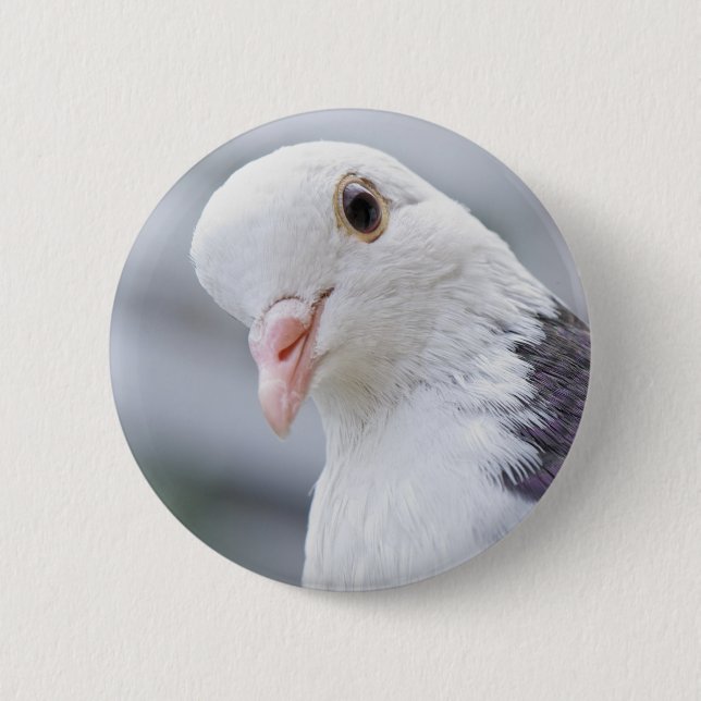 Taube Button (Vorderseite)
