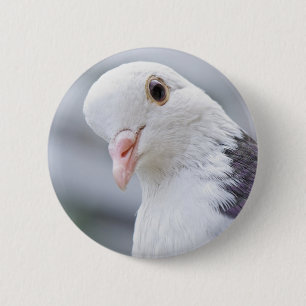 Taube Button