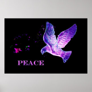 Taube des Friedens Poster