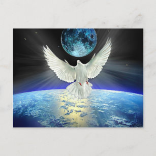 Taube des Friedens über Planet Erde Sonnenaufgang Postkarte