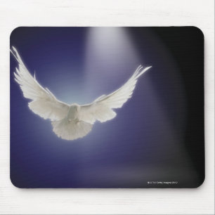 Taube durch Lichtstrahl Mousepad