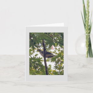 Taube gewartet karte