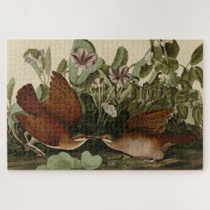 Taube im Schlüsselwesten, Quail-Dove Audubon Vögel Puzzle