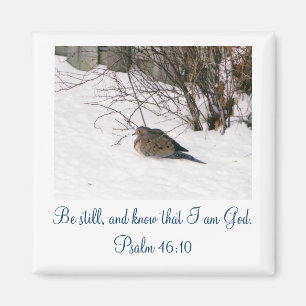 Taube im Schnee Scipture Magneten Magnet