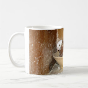 Taube in ihrer Nest-Schüssel-Tasse Tasse