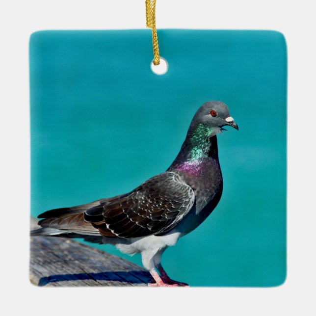 Taube mit Aussicht Keramikornament (Vorderseite)