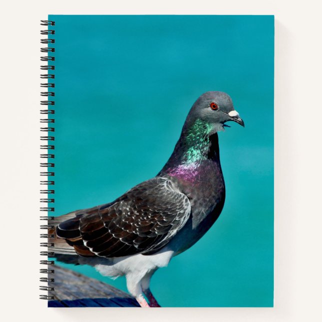 Taube mit Aussicht Notizbuch (Vorderseite)