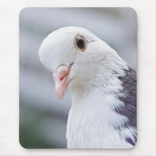 Taube Mousepad (Vorne)