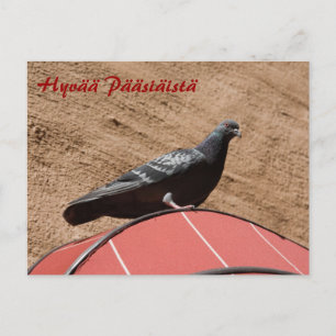 Taube nach Ostern - Postkarte