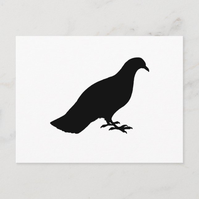 Taube Postkarte (Vorderseite)