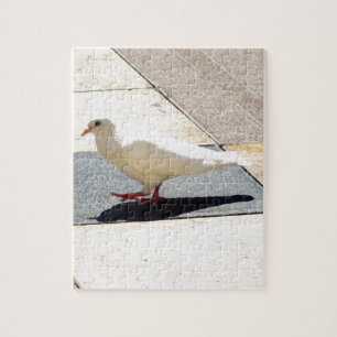 Taube Puzzle