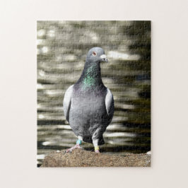 Taube Puzzle