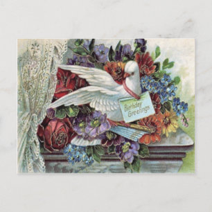 Taube Rose Gänseblümchen Vergissmeinnicht Postkarte