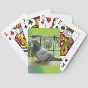 Taube Spielkarten