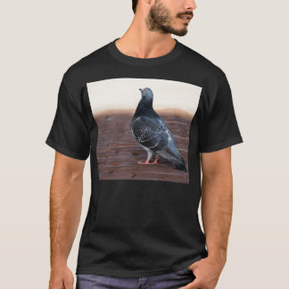 Taube T-Shirt