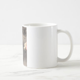 Taube Tasse
