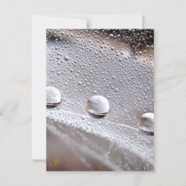 Taube tropft auf Spider Web Galaxy Natur Postkarte